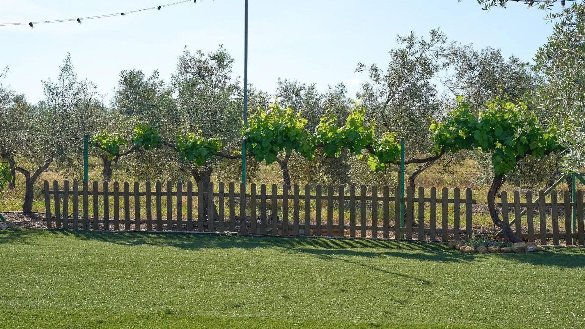 Casa Rural Olivar De La Marquesa La Carlota Holiday home