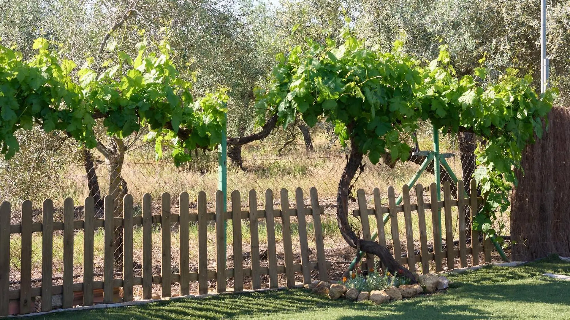 Casa Rural Olivar De La Marquesa La Carlota 0*,